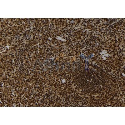 Валидация Affinity DF8808 - 20856