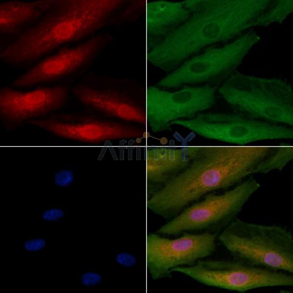 Валидация Affinity DF10064 - 5539