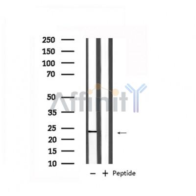 Валидация Affinity DF6288 - 17600