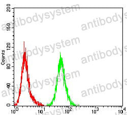 Валидация AntibodySystem RHJ81205