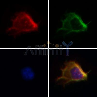 Валидация Affinity AF5376 - 3002