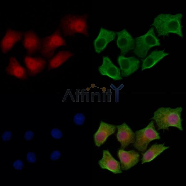 Валидация Affinity DF6686 - 18185