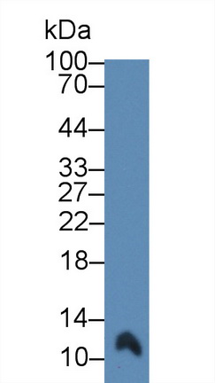 8690