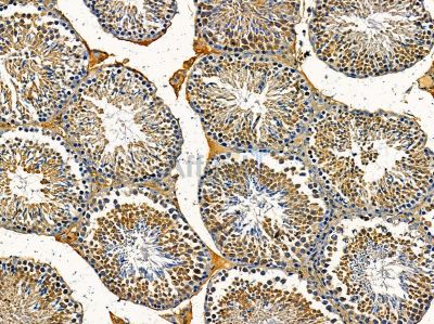 Валидация Affinity DF14418 - 10360