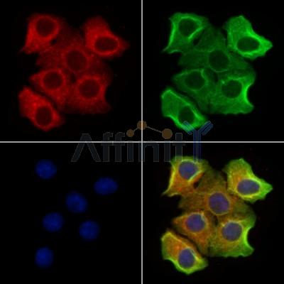 Валидация Affinity DF13297 - 8434