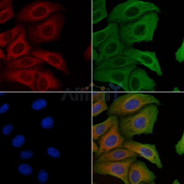 Валидация Affinity DF3694 - 14718