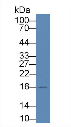 8791