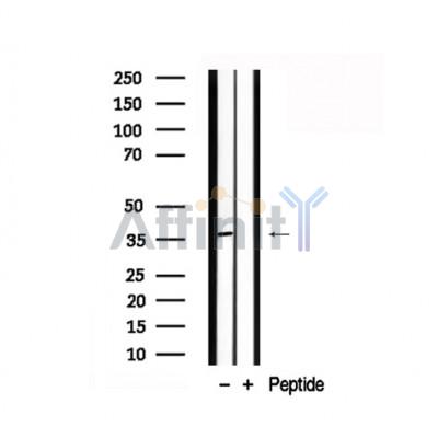 Валидация Affinity AF7865 - 4604