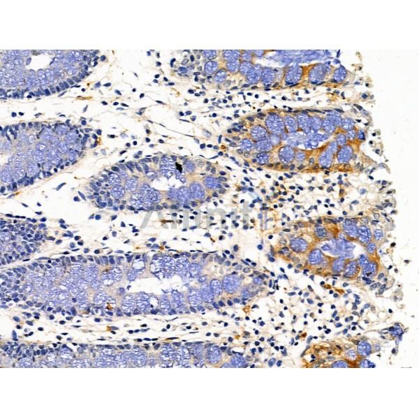 Валидация Affinity DF13436 - 8756