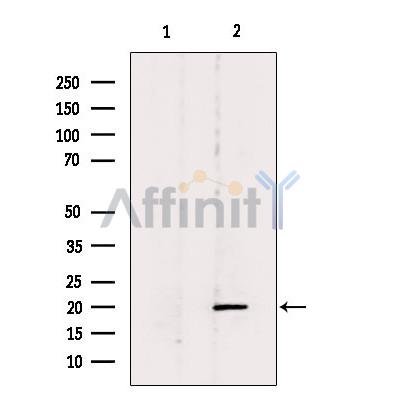 Валидация Affinity DF7038 - 18672