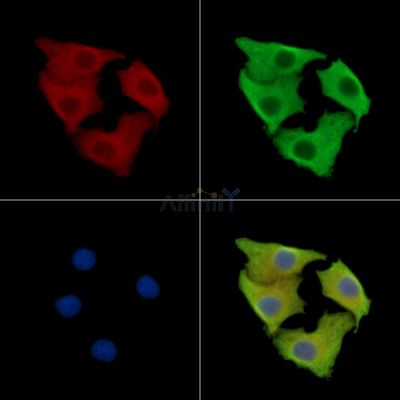 Валидация Affinity DF15942 - 12456