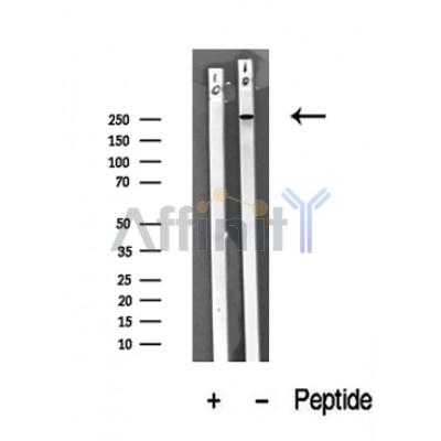 Валидация Affinity DF10344 - 5967