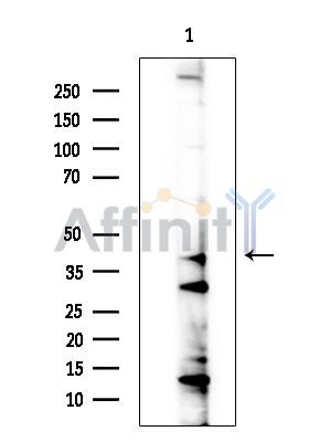 Валидация Affinity DF9329 - 21805
