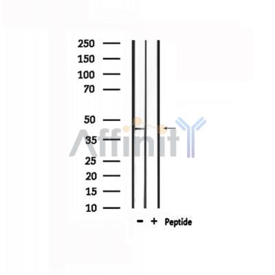 Валидация Affinity DF4890 - 16682