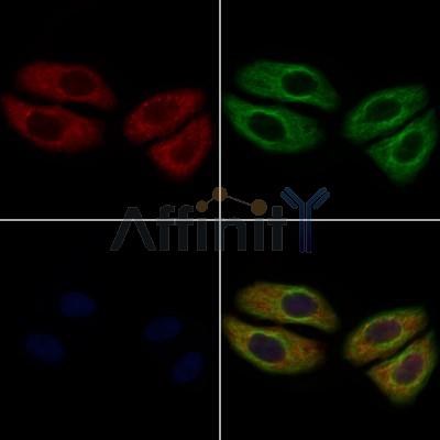 Валидация Affinity DF9500 - 22125