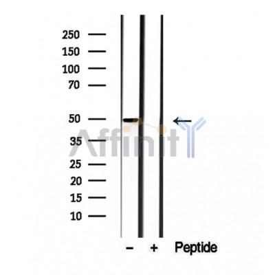 Валидация Affinity DF12423 - 6932