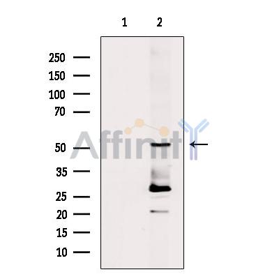 Валидация Affinity DF7672 - 19442