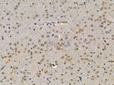 Валидация Affinity DF14077 - 9864