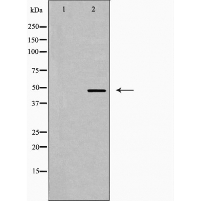 Валидация Affinity AF5209 - 2667