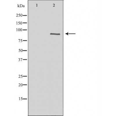 Валидация Affinity DF6823 - 18393