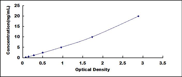61081