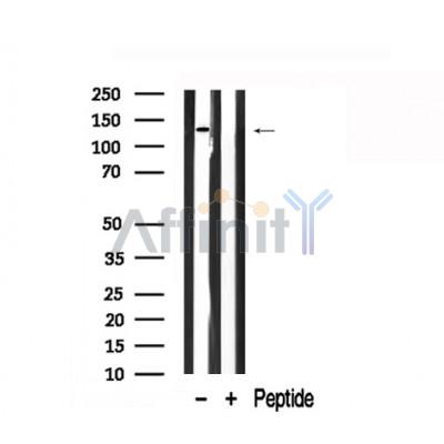 Валидация Affinity AF7884 - 4626