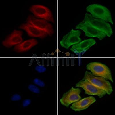 Валидация Affinity AF6443 - 3758