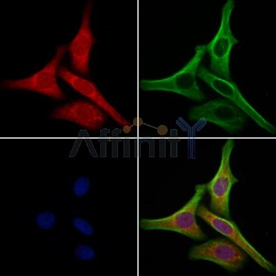 Валидация Affinity DF12233 - 6530