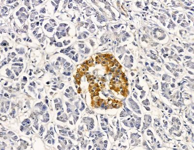 Валидация Affinity DF8953 - 21124