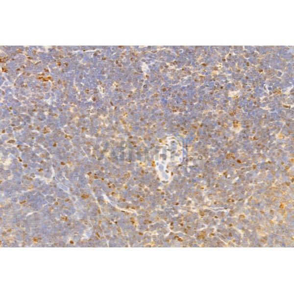 Валидация Affinity AF6413 - 3710