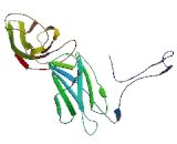Colony Stimulating Factor 2 Receptor Alpha (CSF2Ra) Colony Stimulating Factor 2 Receptor Alpha (CSF2Ra)