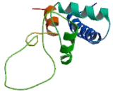 Tetraspanin 24 (TSPAN24) Tetraspanin 24 (TSPAN24)