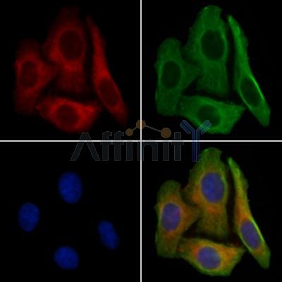 Валидация Affinity AF6306 - 3576