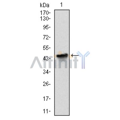 Валидация Affinity BF0652 - 5346
