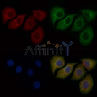 Валидация Affinity DF6695 - 18200