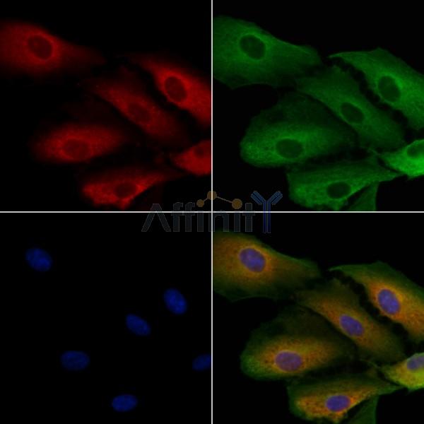 Валидация Affinity DF12711 - 7376