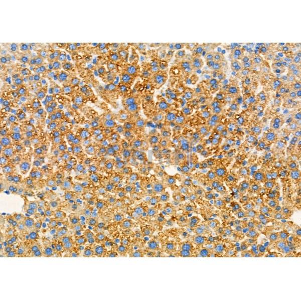 Валидация Affinity DF7700 - 19488