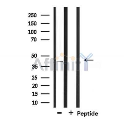 Валидация Affinity DF8644 - 20597