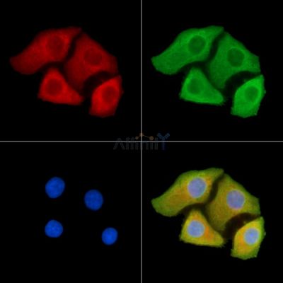 Валидация Affinity DF14328 - 10224