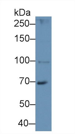 8804