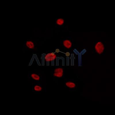 Валидация Affinity DF7859 - 19674