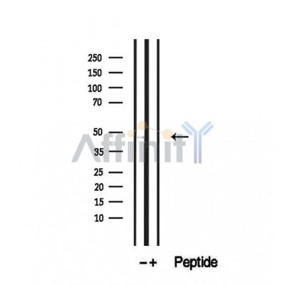 Валидация Affinity DF12476 - 7031