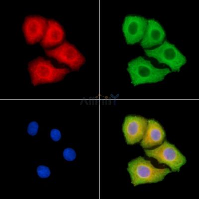 Валидация Affinity DF13760 - 9421