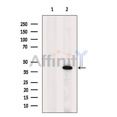 Валидация Affinity DF6401 - 17762
