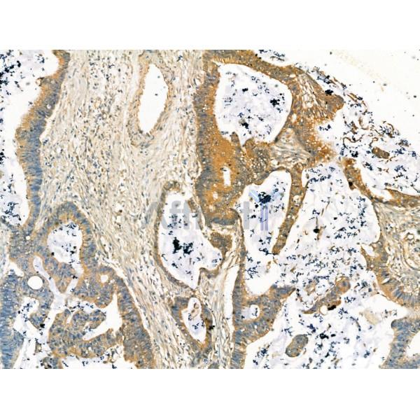 Валидация Affinity DF13277 - 8383