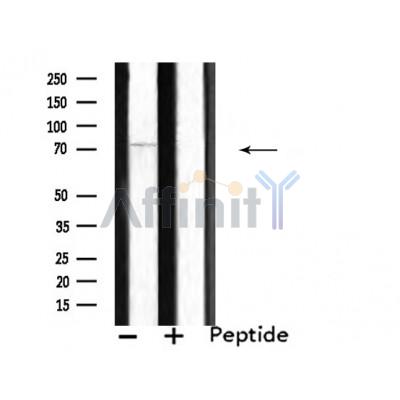 Валидация Affinity DF4456 - 15975