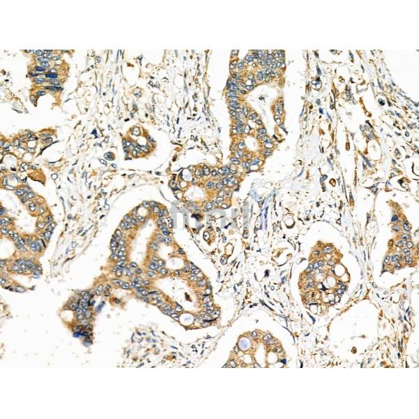 Валидация Affinity DF6399 - 17761