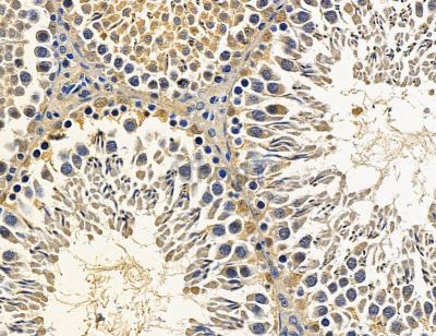 Валидация Affinity DF14602 - 10621