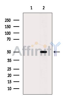 Валидация Affinity DF14837 - 10960
