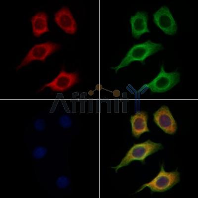 Валидация Affinity AF5491 - 3176